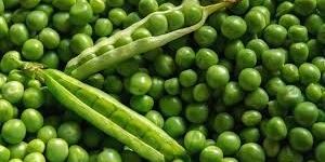 Fresh Green Peas