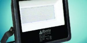 Queen-FL LED Flood Light