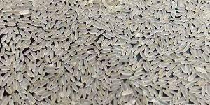 Long Grain Rice
