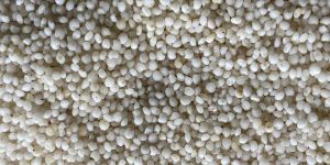 Polished Barnyard Millet Seeds
