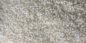 Polished Little Millet Seeds