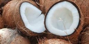 Fresh Brown Coconut