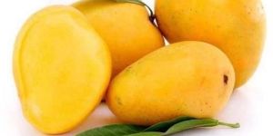 Fresh Mango