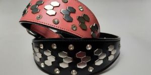Leather Dog Collar