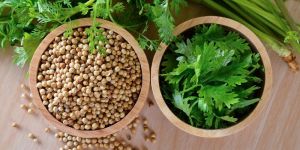 Coriander Seeds