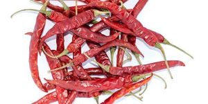 S17 Teja Red Chilli with Stem