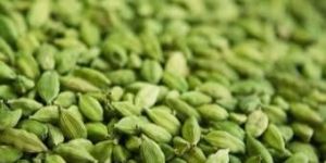 Green Cardamom
