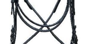 Horse Bridle