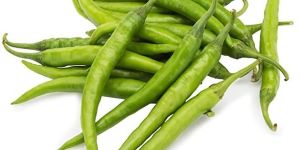 Fresh Green Chilli