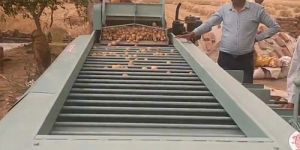 Mobile Type Potato Grading Machine