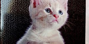 3 in 1 Writing Notebook