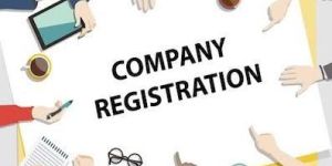 Company Registration Service