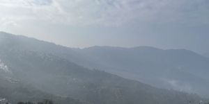 Biodegradable Carry Bags