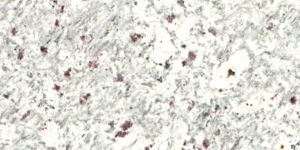 Moon White Granite Slab