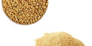 Fenugreek Powder