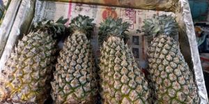 Fresh Pineapple