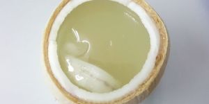 Coconut Gel