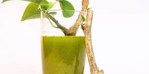 Giloy Juice