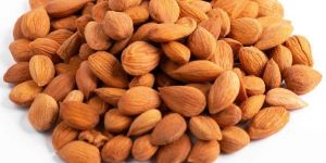 Apricot Kernels