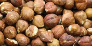 Shelled Hazelnuts