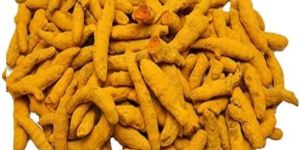 Turmeric Finger