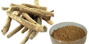 Ashwagandha Extract