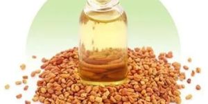 Fenugreek Oleoresin Oil