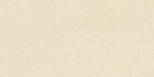 600 X 600 Full Body Porcelain Floor Tiles