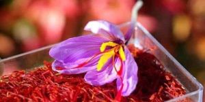 Pure Kashmiri Saffron