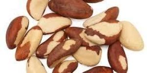 Brazil Nuts