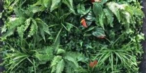 Artificial Green Wall