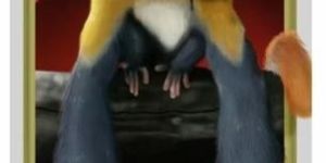 Cartoon PVC Wallpaper