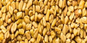 Fenugreek Seeds