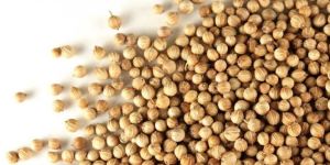 Coriander Seeds