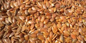 Flax Seeds