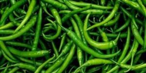 Fresh Green Chilli