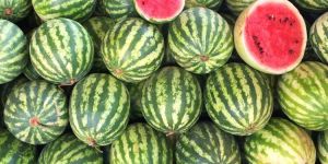 Fresh Watermelon