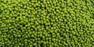 Green Moong