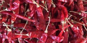 Guntur Red Chilli