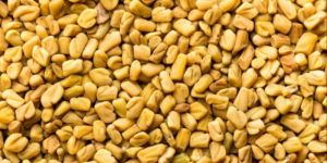 Organic Fenugreek Seed