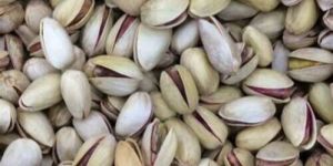 Long Type Pistachio