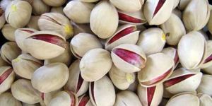 Round Pistachio (Fandoghi)