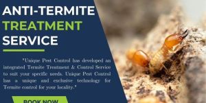 Anti Termite Treatment