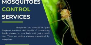 Mosquito Control Services