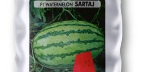 Sartaj Hybrid Watermelon Seeds