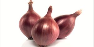 Onion Sukhsagar Seeds