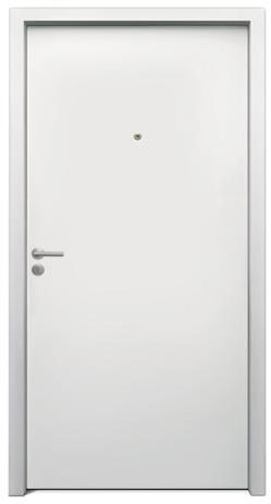 JSW PLAIN FINISH STEEL DOORS