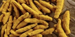 Dried Turmeric