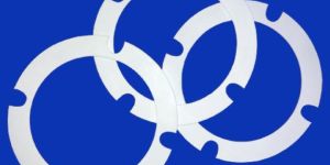 PTFE Gasket