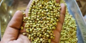 Dried Coriander Seed